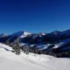 RobertaLesage's profile picture. Introvert  #  . degree in,  Subtly charming social media fanatic