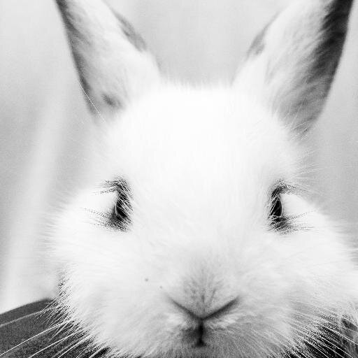 blankscroll's profile picture. Anime fun. Manga reeder. Comic Book , Literature lava. UCC Sturent. Moonlight Cafe Pelson. AIESECer.  

Say Hi