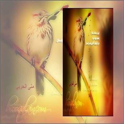 ‏‏أمنح كل المشاعر من حب وإخـلاص وتضحيه .. لمن ملك روحي (( هذا الوفاء عهدته معك ))...والخاص مهمل