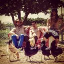 carlos bataller - @carlos_bataller - Twitter