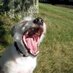 moppy o (@mrsmoppyo) Twitter profile photo