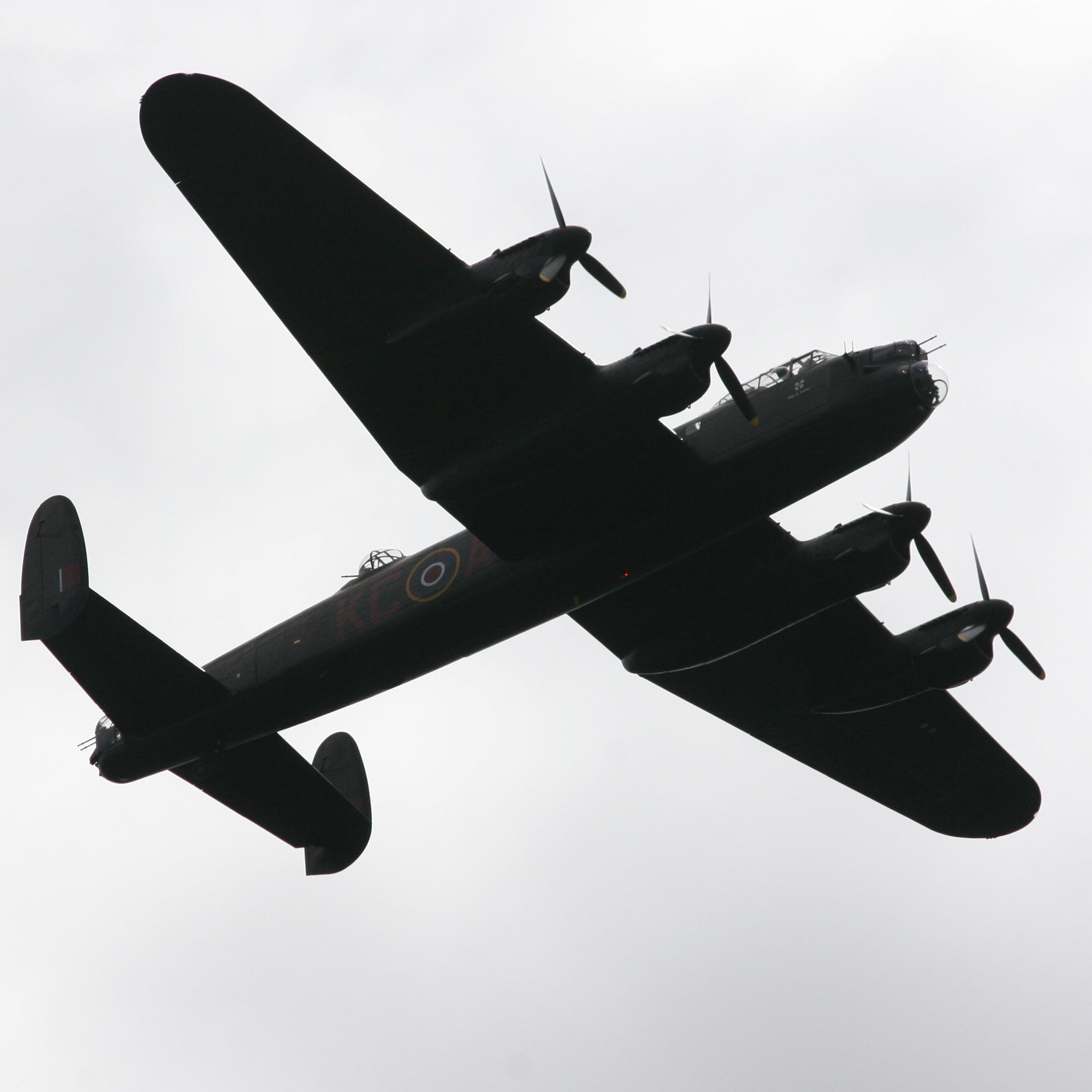 windblown_7's profile picture. 