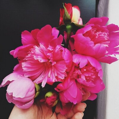 Profile Picture of شيخه تويت'ز (@Shai5aAl876ani) on Twitter