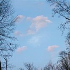 PalominaVenable's profile picture. Notes; Infuriatingly humble internet fan - Entrepreneur  ...  General analyst ;