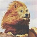 felipe suazo - @felipe_suazp - Twitter