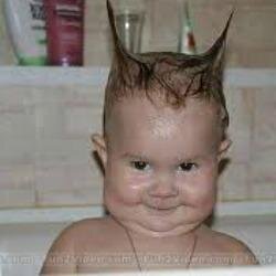 thraxwhiz's profile picture. new twitter