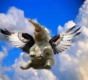 I Can Fly