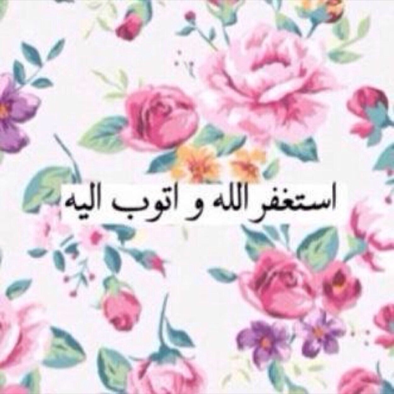 أكاونتي الأساسي @sarahalmalki162 .