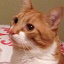 Nancy Fishburn - @natmfish - Twitter