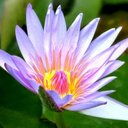 Ellie Mann - @EllieMannWrites - Twitter