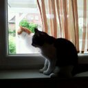 Frank Jonas - @franktweeting - Twitter