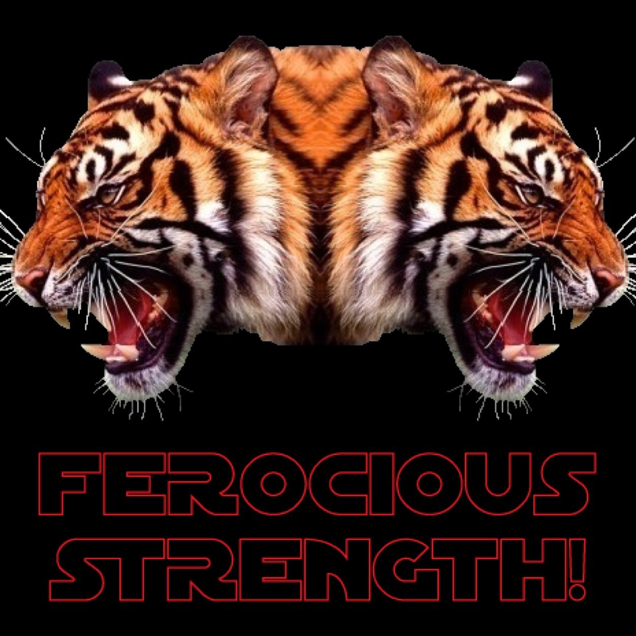 Official Twitter for FerociousGaming™ ...... Use code FeroG on http://t.co/fBjerec5B4 for 5% off any of their products !
