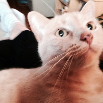 RNedw14043's profile picture. Mature Humanist with a Liberal bent, a few conservative ideas. Be the best person you can & contribute something to humanity, then your bases will be covered.