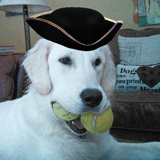 Historian, writer/blogger, guide, dog-guy; independent publisher. Author - Freedom Trail Boston - Ultimate Tour & History Guide/apps for iPhone/Android
