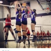 Leo Lions Volleyball (@leolionsvball) 's Twitter Profile