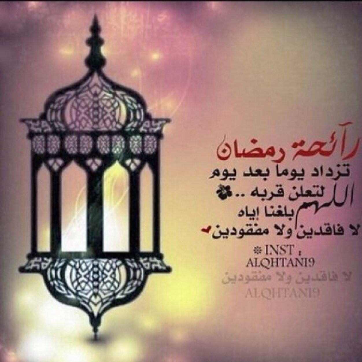 من روؤس مطير ماني بحي الله ✌️