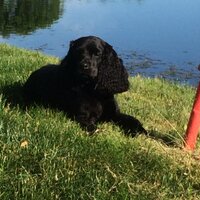 Jim Seaman, CGCS (@jimseaman21) 's Twitter Profile