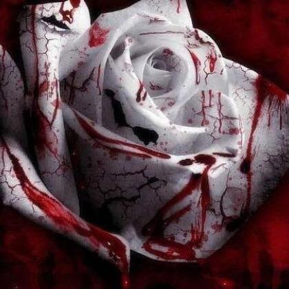 HEAR ARE A FEW facts ABOUT VAMPIRES