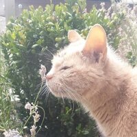 Mr Lancaster (@lancasterb) 's Twitter Profile