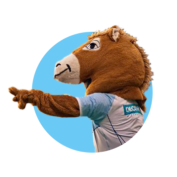 @pottoka_off : Mon nouveau compte Twitter de mascotte la plus belle du monde. Allez Bayonne !