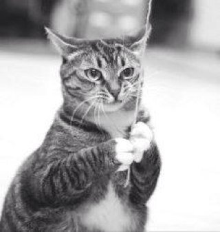 fredyprietoc3's profile picture. 