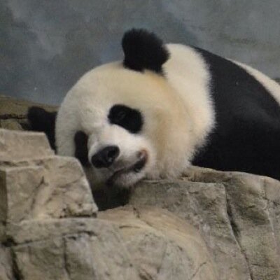 fire2rain's profile picture. I never know what to write about myself