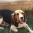 lela_ema's profile image