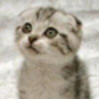 Vapo (@vapor6s) 's Twitter Profile