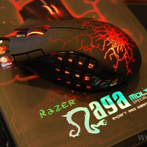 Follow me and i follow u forever! i'm a hardcore gamer. I love my wife and kids. Remember: All your base are belong to us
