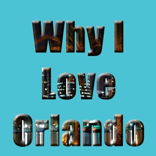 There are a million+ reasons to love Orlando. Why I Love Orlando was created to showcase our wonderful city and local businesses in the area. #Orlando
