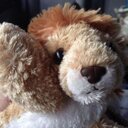 Daniel the Lion - @Lion_Daniel5SOS - Twitter