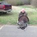 Mark Burchfield (@burchturkey) Twitter profile photo