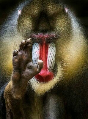 R_Arteaga22's profile picture. 