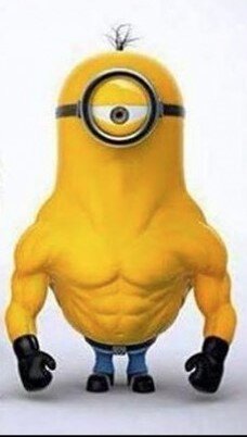 Minion Dave Army war veteran CPT CNMT & Black Belt helping you with all your fitness needs!