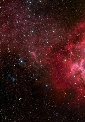 soskends's profile picture. Run wild and never look back