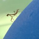 Dalton Ortega - @Dalton_Ortega - Twitter