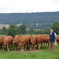 David Howlett (@beefsheep) 's Twitter Profile