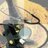 microbiologoMD's profile image
