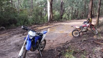 silentsalami's profile picture. 