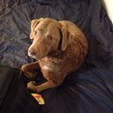 Michael Bertram - @mbertra2 - Twitter