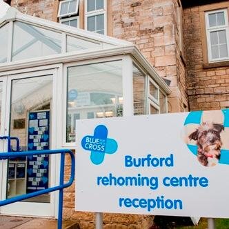 We are the Blue Cross Burford rehoming centre. We have horses, dogs, cats, rabbits and small animals looking for homes. Come and visit us, we'd love to see you!