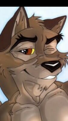 Hey everyone the names balto and I'm happily mated to the beautiful @Furry_Flare