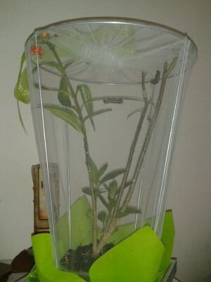 edgarmedinab's profile picture. 