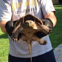 coachboz (@bernieboswell) 's Twitter Profile Photo
