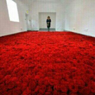 مفضلتي احرف عابره..