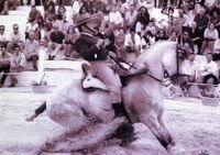 Gran aficionado del mundo del caballo ¡¡¡★Alhaurin el grande★!!!