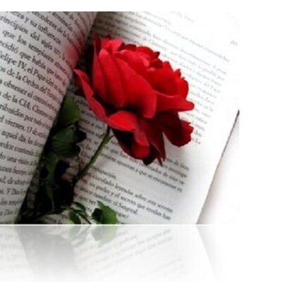 No hay nada que se le comparé ha el mundo perfecto de los libros