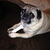 Carol Miller (@carolmi62146827) 's Twitter Profile