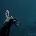 Magdalena Mitchell - @MManiutek - Twitter