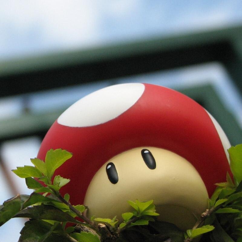 johnjosephward's profile picture. 